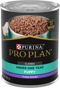 Purina Pro Plan High Protein Puppy Food Wet, Classic Turkey Entree 13 oz. Cans case of 12