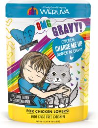 Weruva Wet Cat Food B.F.F. OMG - Best Feline Friend Oh My Gravy!, Chicken Charge Me Up with Chicken in Gravy, 2.8oz Pouch (Pack of 12)