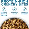 Purina ONE High Protein, Natural Senior Dry Cat Food, Indoor Advantage Senior+ 16 lb. Bag