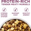 Purina ONE Natural, High Protein Dry Puppy Food, +Plus Healthy Puppy Formula - 31.1 lb. Bag Purina ONE Natural, High Protein Dry Puppy Food, +Plus Healthy Puppy Formula - 31.1 lb. Bag