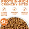 Purina ONE Dry Cat Food