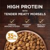 Adult Dry and Wet Cat Food