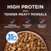 Purina ONE Grain Free Dry Cat Food Natural High Protein, True Instinct With Real Ocean Whitefish 6.3 lb. Bag Purina ONE Grain Free Dry Cat Food Natural High Protein, True Instinct With Real Ocean Whitefish 6.3 lb. Bag