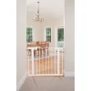 Safety 1st Easy-Install Walk-Through Gate, 38" x 28" Safety 1st Easy-Install Walk-Through Gate, 38" x 28"