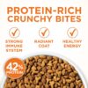 Metabolism Dry Cat Food