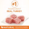 Purina ONE Dry Cat Food