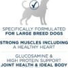 Purina ONE Natural Large Breed Adult Dry Dog Food, +Plus Formula - 31.1 lb. Bag