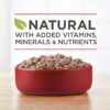 Purina ONE Grain Free, Natural Pate Wet Dog Food, SmartBlend True Instinct With Beef & Wild Caught Salmon - (12) 13 oz. Cans