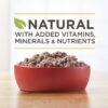 Purina ONE Grain Free, Natural Pate Wet Dog Food, SmartBlend True Instinct With Real Turkey & Venison - (12) 13 oz. Cans