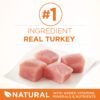Metabolism Dry Cat Food