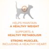 Purina ONE Dry Cat Food