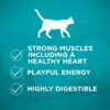 Purina ONE Grain Free Dry Cat Food Natural High Protein, True Instinct With Real Ocean Whitefish 6.3 lb. Bag Purina ONE Grain Free Dry Cat Food Natural High Protein, True Instinct With Real Ocean Whitefish 6.3 lb. Bag