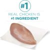 Purina ONE Natural Dry Cat Food, Tender Selects Blend With Real Chicken - 16 lb. Bag
