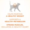 Metabolism Dry Cat Food