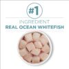 Purina ONE Indoor Advantage High Protein Ocean Whitefish and Rice Wet Cat Food, 3-oz, case of 24 Purina ONE Indoor Advantage High Protein Ocean Whitefish and Rice Wet Cat Food, 3-oz, case of 24