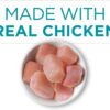 Purina ONE True Instinct Chicken Recipe, High Protein, Gravy Wet Cat Food - Pull-Top ,3 Ounce (Pack of 24)