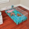 MidWest Guinea Habitat Guinea Pig Home, Guinea Habitat Plus MidWest Guinea Habitat Guinea Pig Home, Guinea Habitat Plus