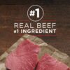 Purina ONE Grain Free, Natural Pate Wet Dog Food, SmartBlend True Instinct With Beef & Wild Caught Salmon - (12) 13 oz. Cans