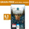 Adult Dry and Wet Cat Food