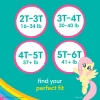 Pampers Easy Ups Training Pants Girls and Boys, 4T-5T (Size 6), 104 Count