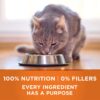 Purina ONE Dry Cat Food