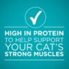 Purina ONE True Instinct Chicken Recipe, High Protein, Gravy Wet Cat Food - Pull-Top ,3 Ounce (Pack of 24)