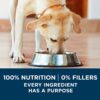 Purina ONE Natural Large Breed Adult Dry Dog Food, +Plus Formula - 31.1 lb. Bag