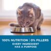 Purina ONE High Protein, Natural Senior Dry Cat Food, Indoor Advantage Senior+ 16 lb. Bag