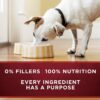 Purina ONE Grain Free, Natural Pate Wet Dog Food, SmartBlend True Instinct With Real Turkey & Venison - (12) 13 oz. Cans