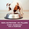 Purina ONE Natural, High Protein Dry Puppy Food, +Plus Healthy Puppy Formula - 31.1 lb. Bag Purina ONE Natural, High Protein Dry Puppy Food, +Plus Healthy Puppy Formula - 31.1 lb. Bag