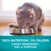 Adult Dry and Wet Cat Food