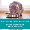 Purina ONE True Instinct Chicken Recipe, High Protein, Gravy Wet Cat Food - Pull-Top ,3 Ounce (Pack of 24)