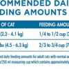 Purina ONE High Protein, Natural Senior Dry Cat Food, Indoor Advantage Senior+ 16 lb. Bag