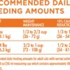 Metabolism Dry Cat Food