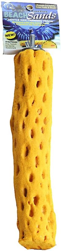 Polly's Beach Sands Bird Perch, Large