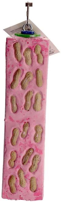 Polly's Nutty Log Cactus Snack Bird Chew Toy