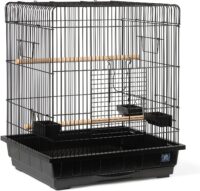 Prevue Hendryx Square Roof Parrot Bird Cage, Black