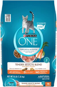 Purina ONE Natural Dry Cat Food, Tender Selects Blend With Real Chicken - 16 lb. Bag