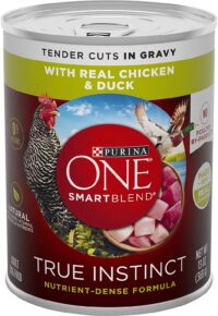 Purina ONE Natural Gravy Wet Dog Food, SmartBlend True Instinct Tender Cuts With Real Chicken and Duck - (12) 13 oz. Cans