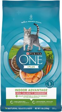 Purina ONE +Plus Indoor Advantage with Real Salmon, High Protein Dry Cat Food - 7 lb. Bag