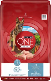 Purina ONE +Plus Joint Health Formula Natural Dry Dog Food for Hip and Joint Care, 31.1 lb. Bag
