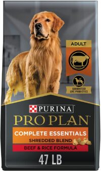 Purina Pro Plan High Protein Dry Dog Food With Probiotics for Dogs, Shredded Blend Beef and Rice Formula - 47 lb. Bag