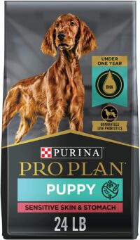 Purina Pro Plan Sensitive Skin and Stomach Dry Puppy Food with Probiotics, Lamb and Oat Meal Formula - 24 lb. Bag