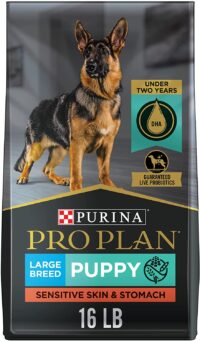 Purina Pro Plan Sensitive Skin and Stomach Large Breed Dry Puppy Food with Probiotics, Salmon and Rice Formula - 16 lb. Bag