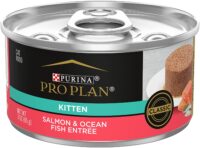Purina Pro Plan Wet Kitten Food Pate, Salmon and Ocean Fish Entree - (24) 3 oz. Pull-Top Cans