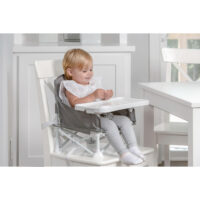 Regalo My Chair 2-in-1 Portable Travel Booster Seat & Activity Chair, Bonus Kit Includes, Oversized Removable Tray with Cup Holder, Grey