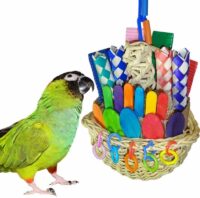 Super Bird Creations SB669 Wicker Foraging Basket Bird Toy, Medium Bird Size, 10” x 4” x 5”