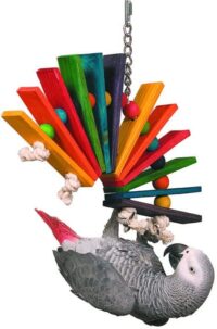 Super Bird Creations SB702 Peacock Sr. Bird Toy, Large Bird Size, 14” x 11” x 1.5”