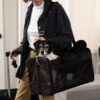 Sherpa Original Deluxe Lattice Print Airline-Approved Pet Carrier Bag, Large