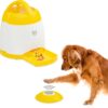 Arf Pets Memory & Training Activity Dog Treat Dispenser - Dog Puzzle Memory Training Activity Toy – Treat While Train, Promotes Exercise by Rewarding Your Pet, Cat, Improves Memory & Positive Training for A Healthier & Happier